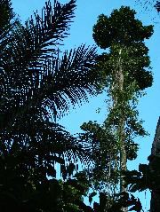 DSCF3114.JPG