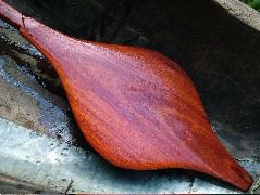 DSCF3115.JPG