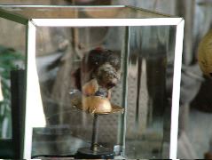 DSCF2580.JPG
