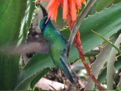 DSCF2586.JPG