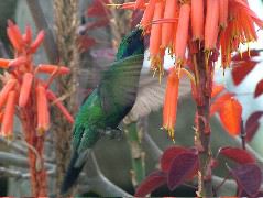 DSCF2587.JPG
