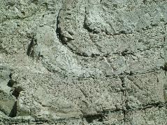 DSCF2601.JPG