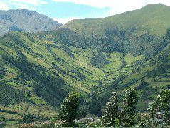 DSCF2607.JPG