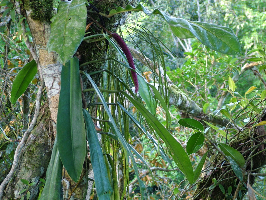 DSCF3119.JPG