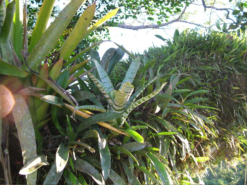 DSCF3129.JPG