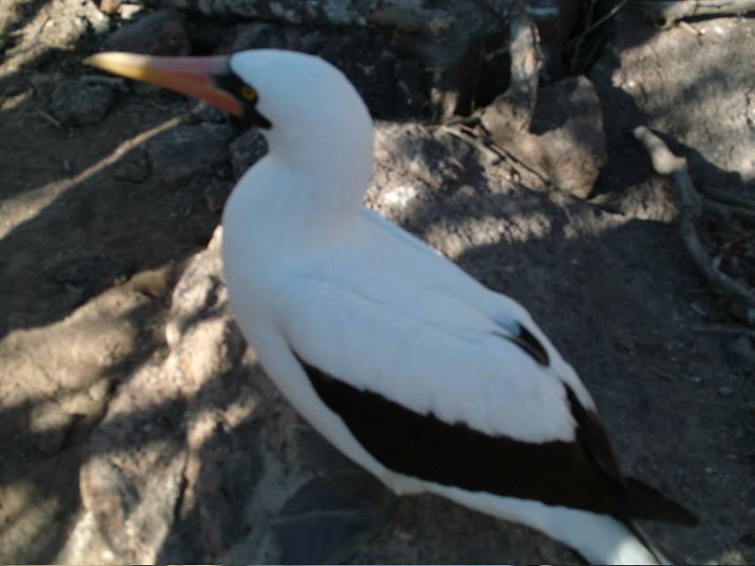 DSCF3232.JPG