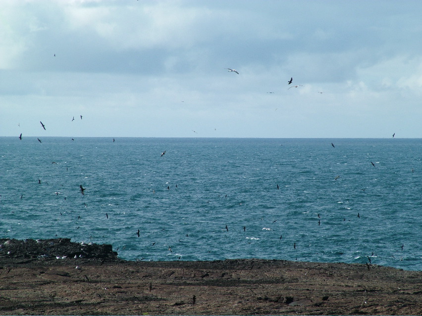 DSCF3235.JPG