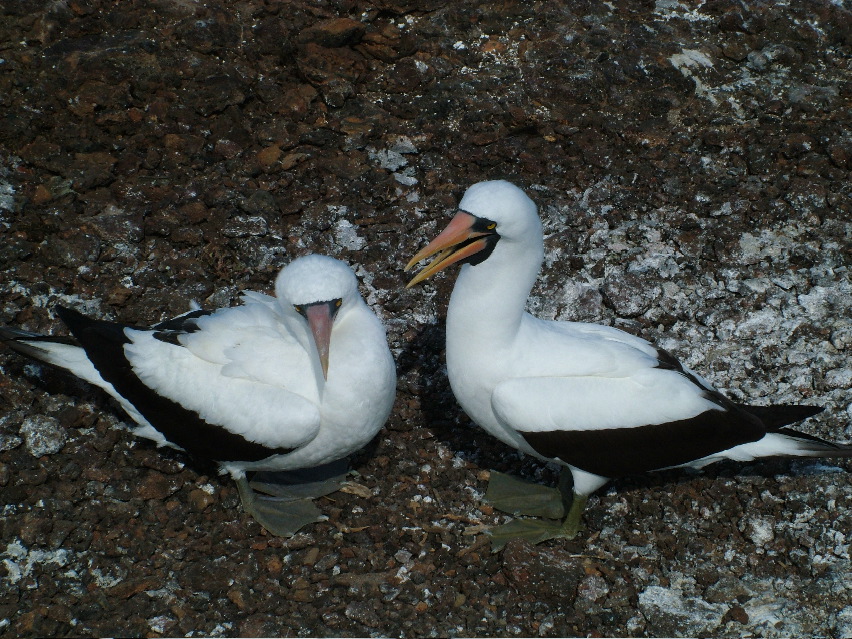 DSCF3236.JPG