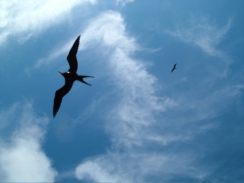 DSCF3237.JPG