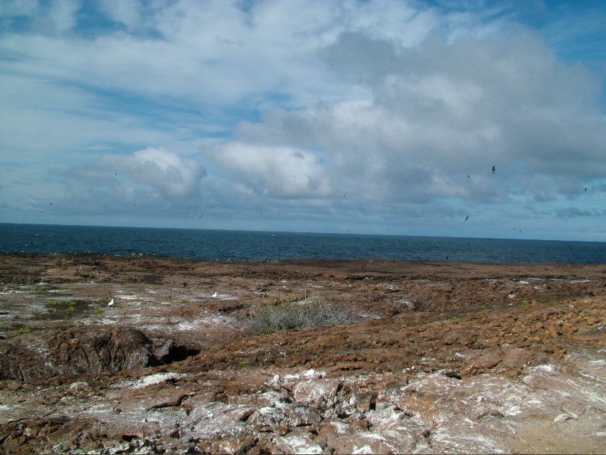DSCF3238.JPG