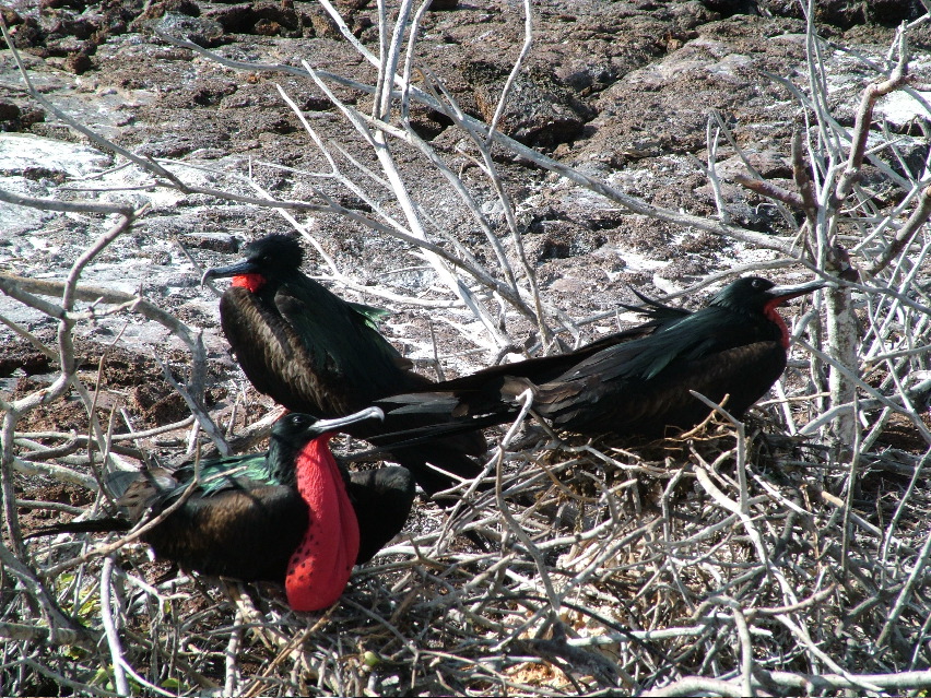 DSCF3239.JPG