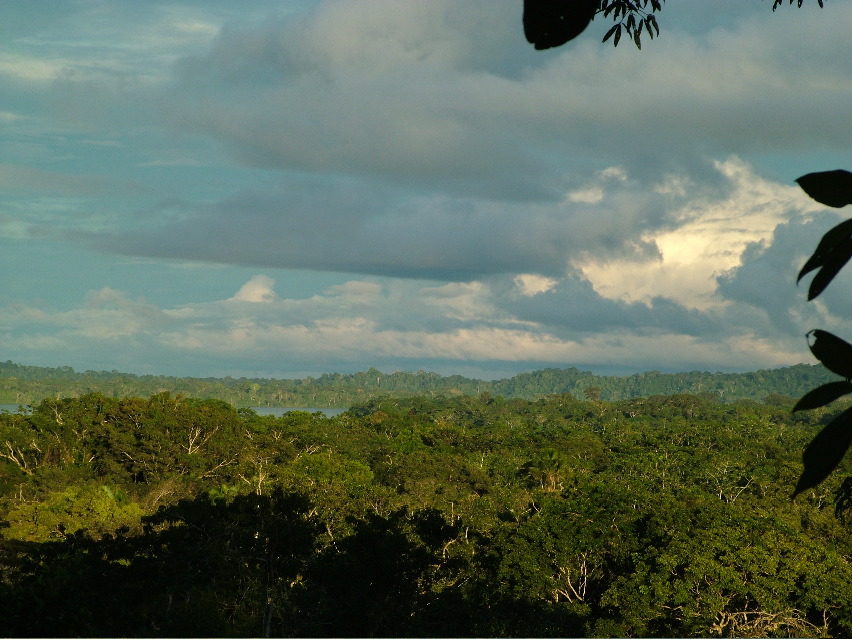 DSCF3130.JPG