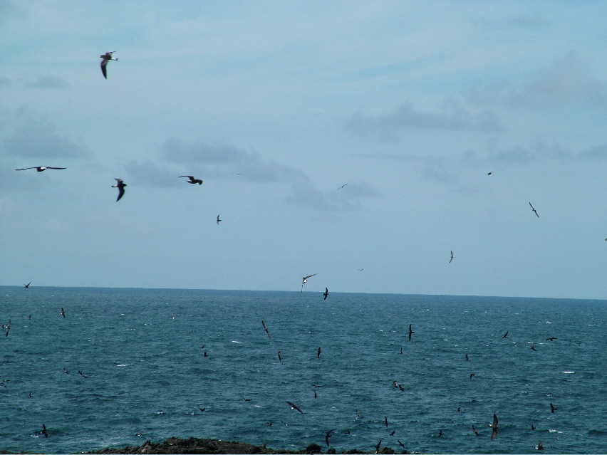 DSCF3240.JPG