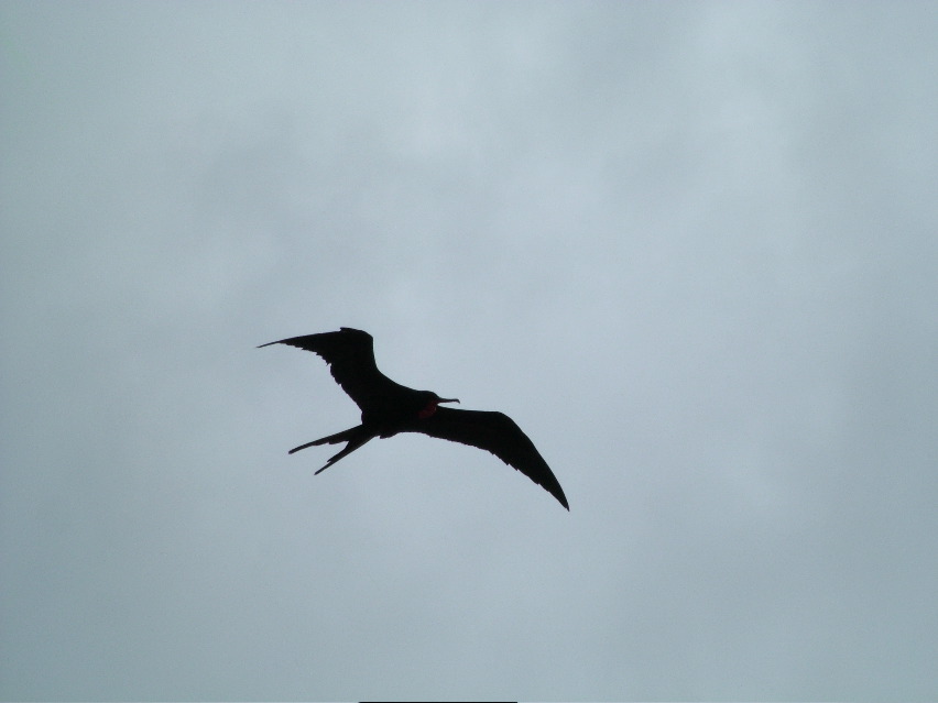 DSCF3245.JPG