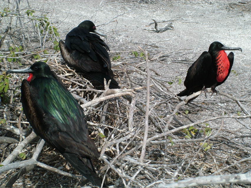 DSCF3248.JPG