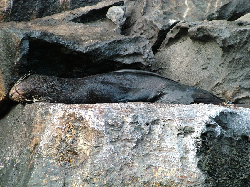 DSCF3251.JPG