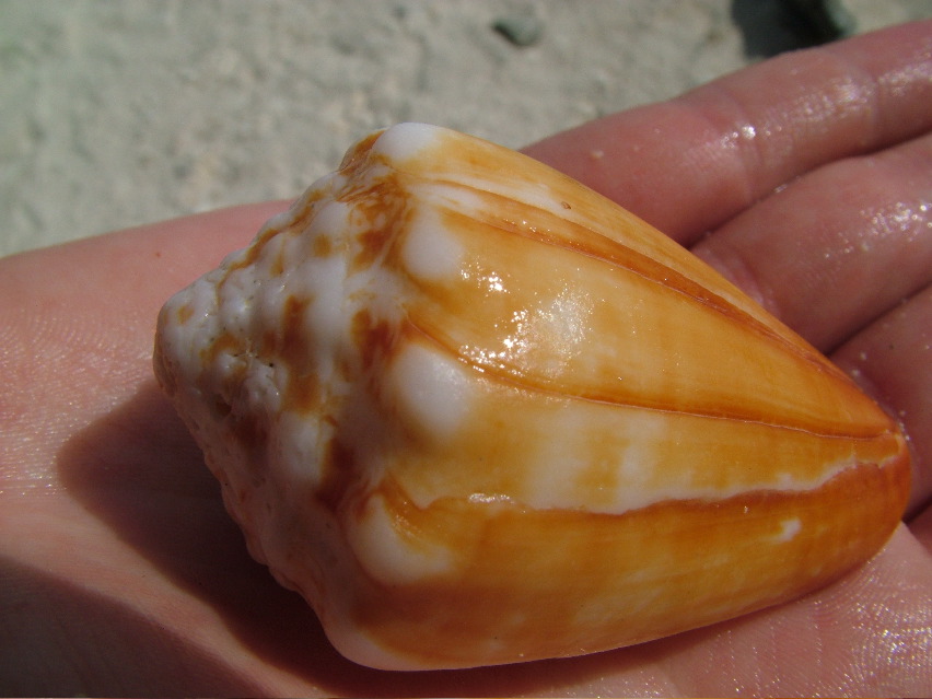 DSCF3252.JPG