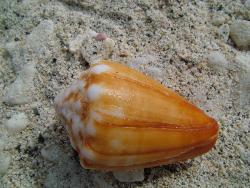 DSCF3253.JPG