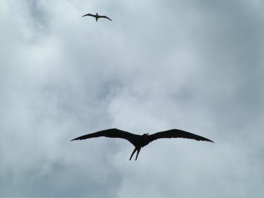 DSCF3254.JPG