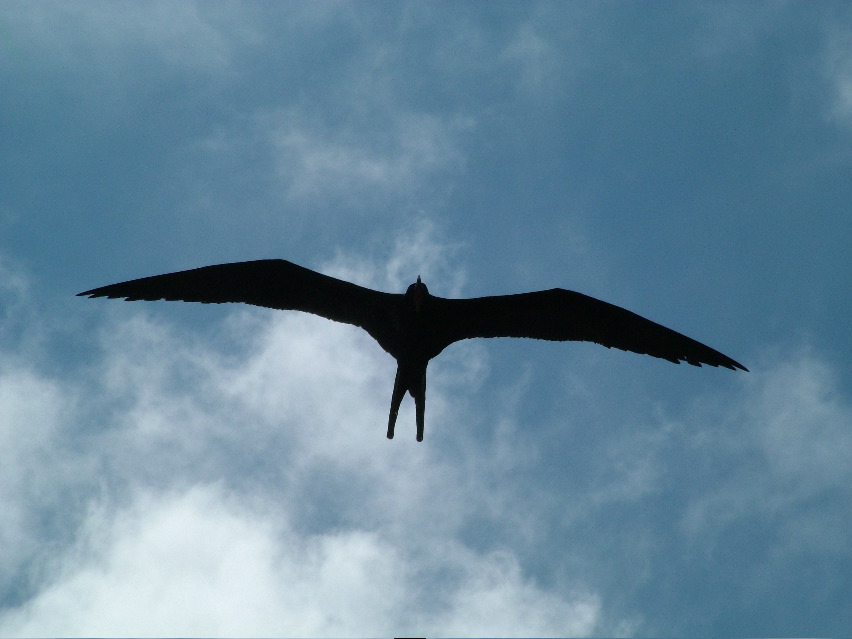 DSCF3255.JPG