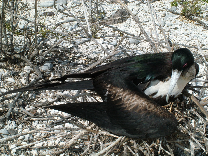 DSCF3257.JPG