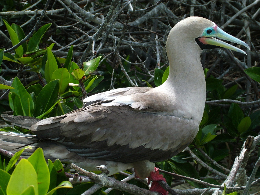 DSCF3258.JPG