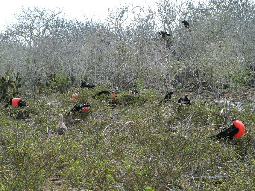 DSCF3262.JPG