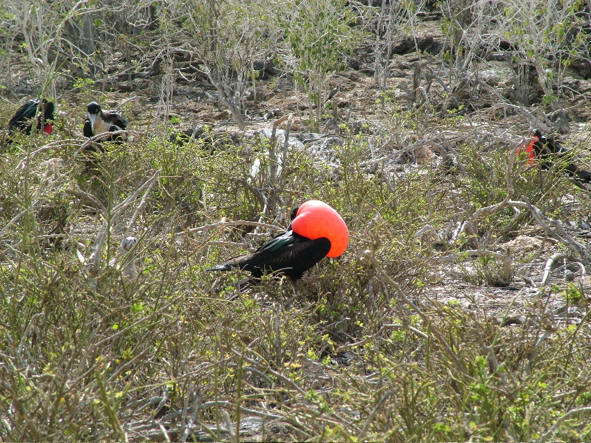 DSCF3263.JPG
