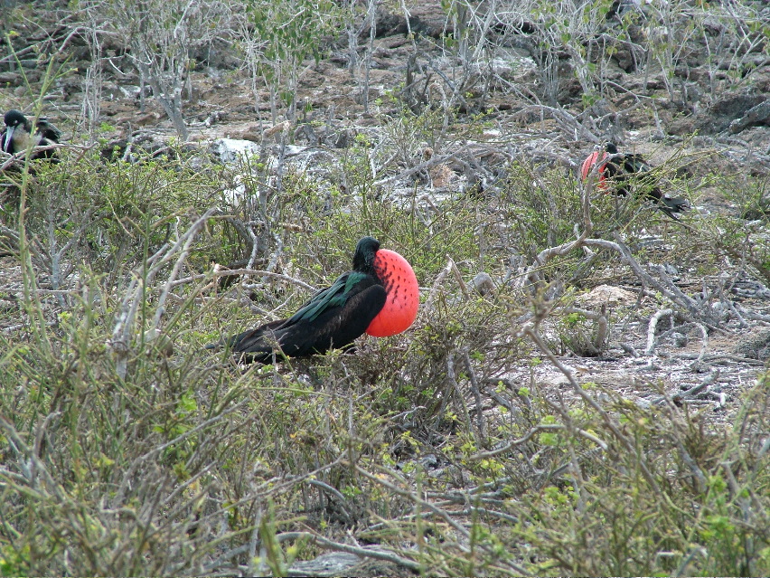 DSCF3264.JPG