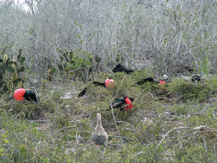 DSCF3265.JPG