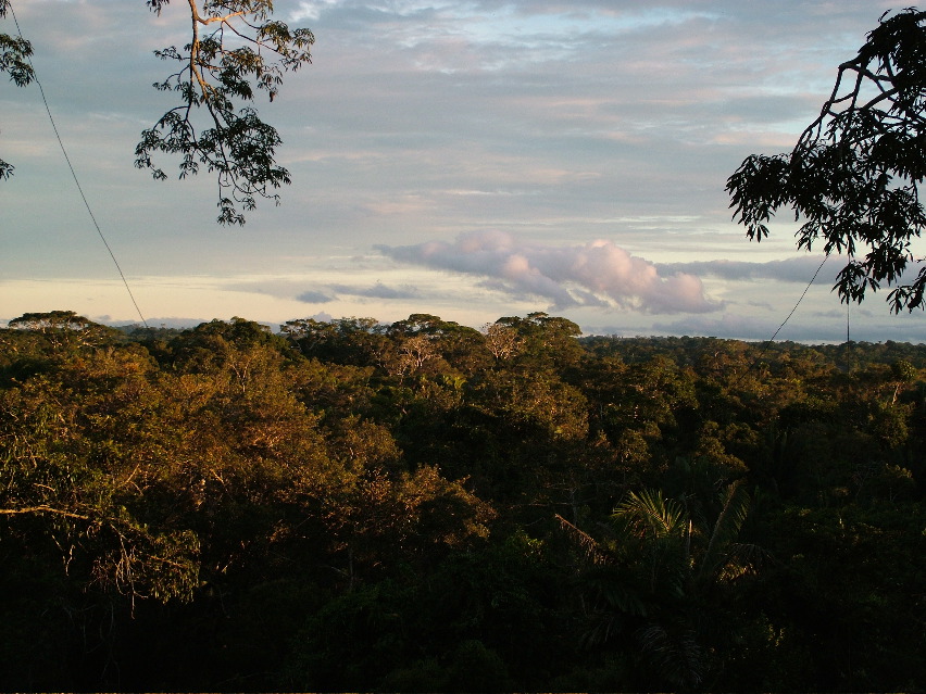 DSCF3132.JPG