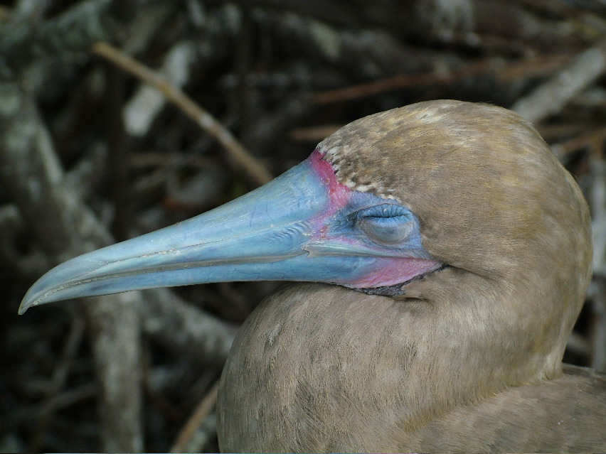 DSCF3266.JPG