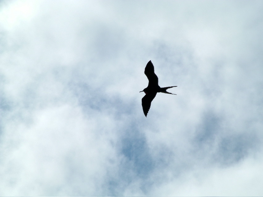 DSCF3267.JPG