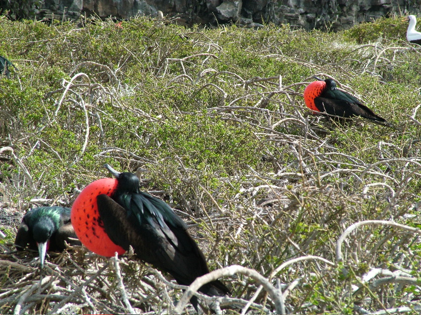 DSCF3268.JPG