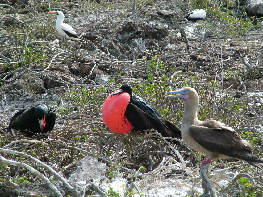 DSCF3269.JPG
