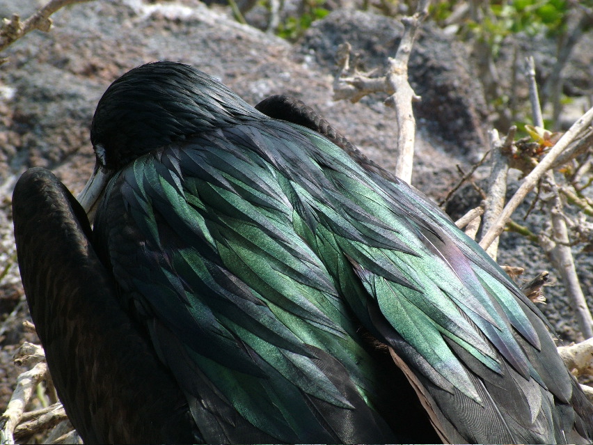 DSCF3270.JPG