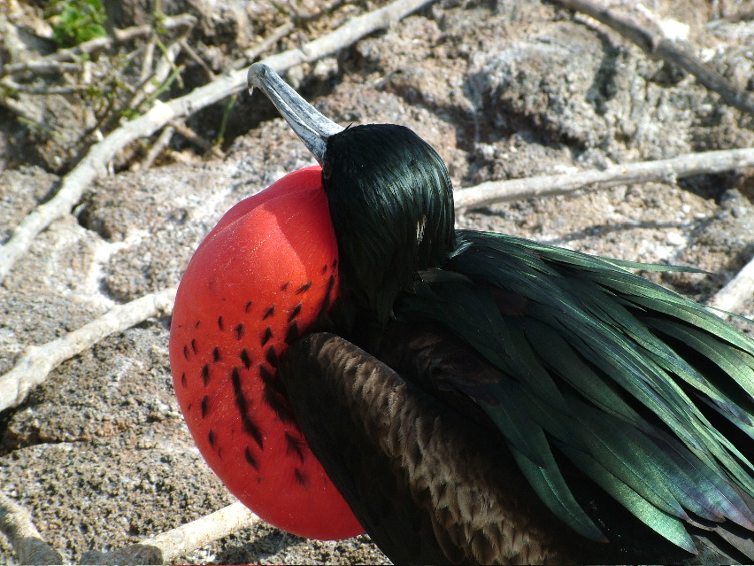 DSCF3271.JPG