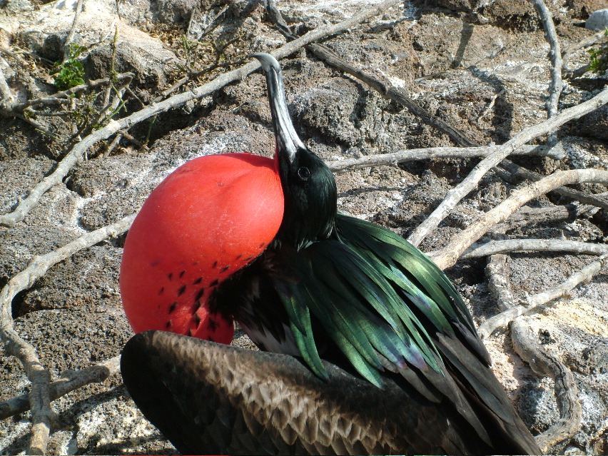 DSCF3273.JPG