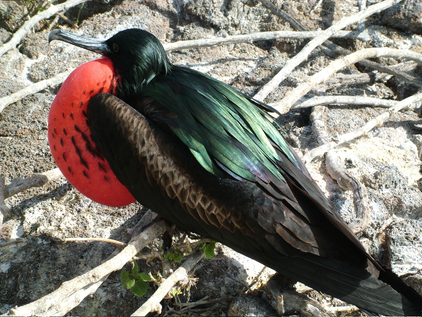DSCF3274.JPG