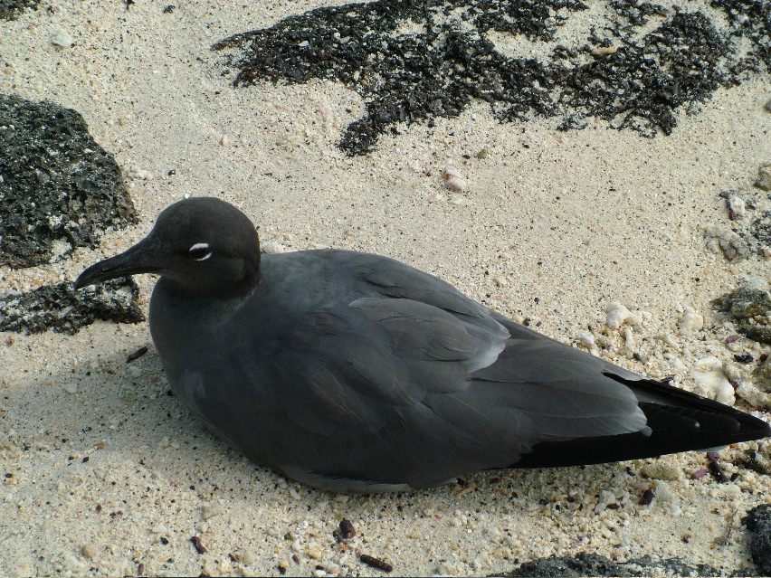 DSCF3275.JPG