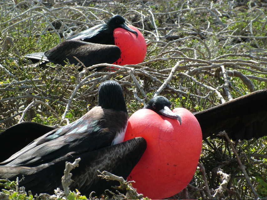 DSCF3276.JPG