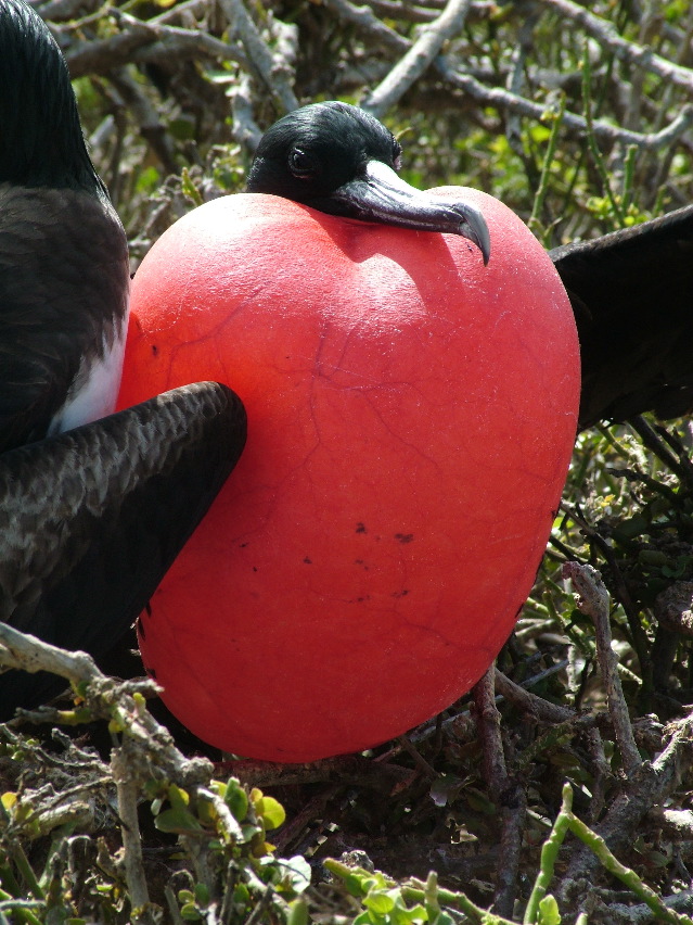 DSCF3278.JPG