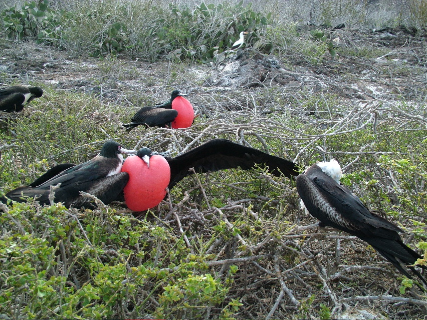 DSCF3279.JPG