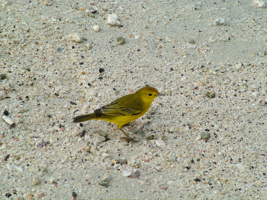 DSCF3282.JPG