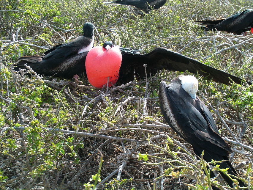 DSCF3284.JPG