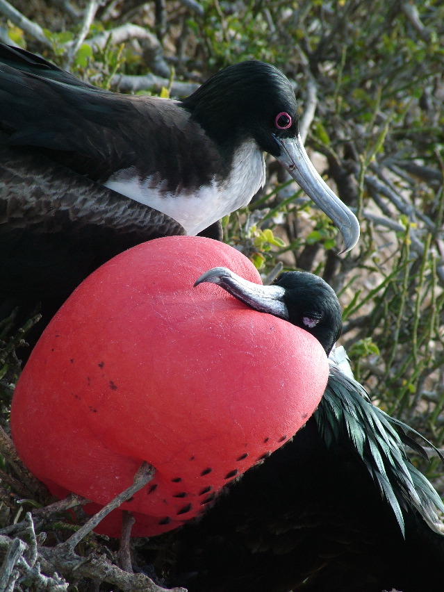 DSCF3285.JPG
