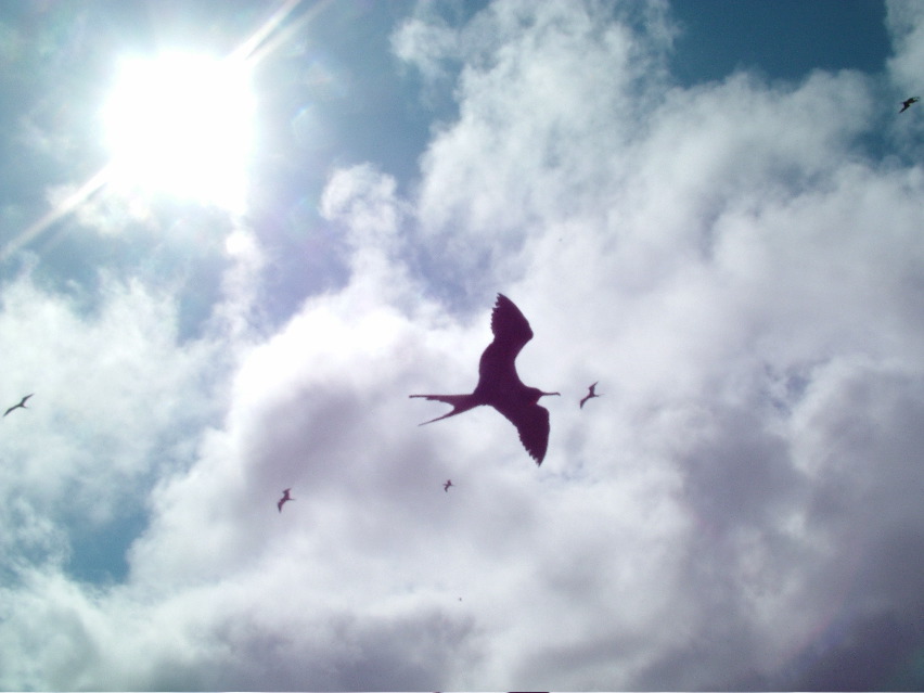 DSCF3286.JPG