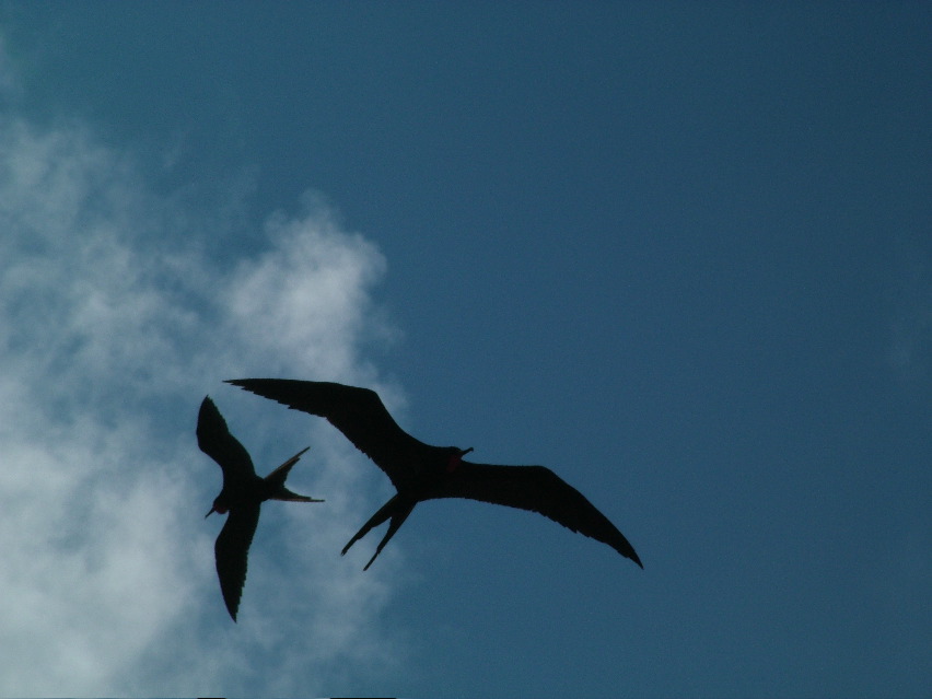 DSCF3287.JPG