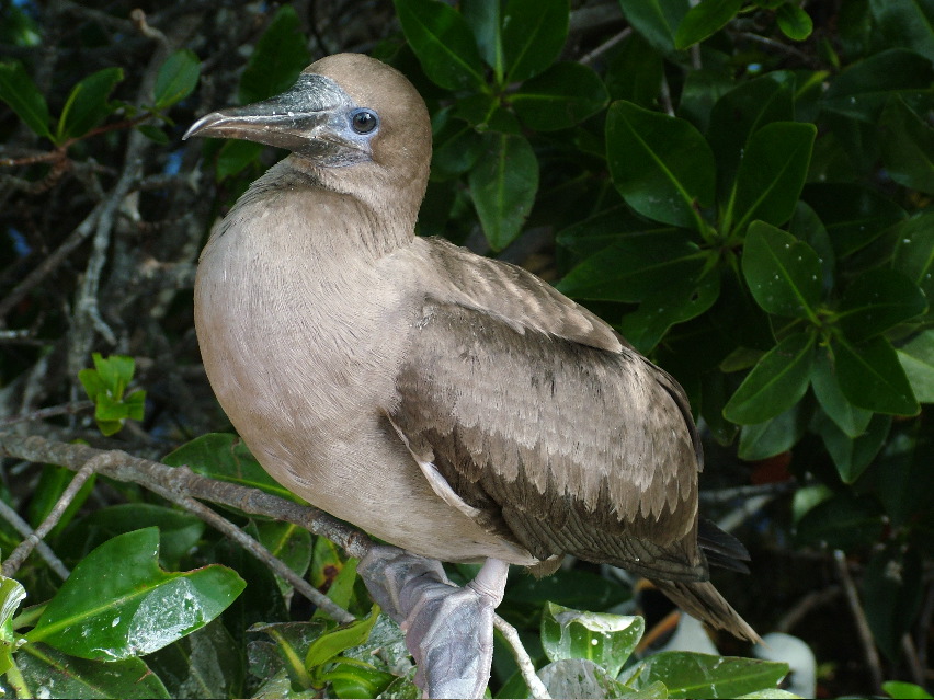 DSCF3289.JPG