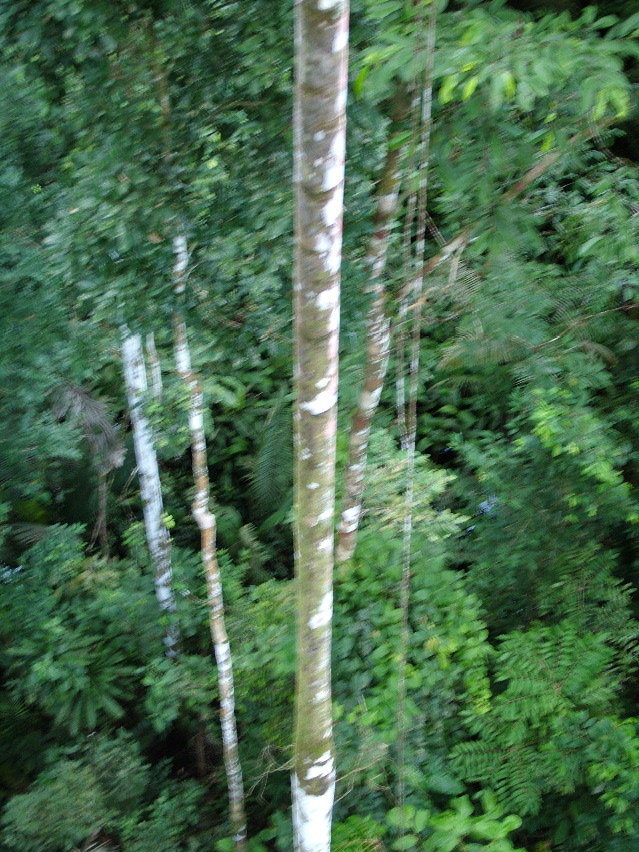 DSCF3134.JPG